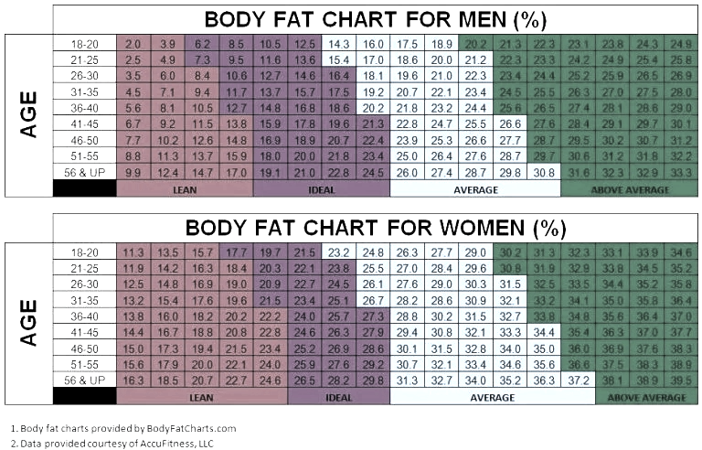 Blog How to Improve Body Composition to Achieve a Lean Body - Body Fat ...